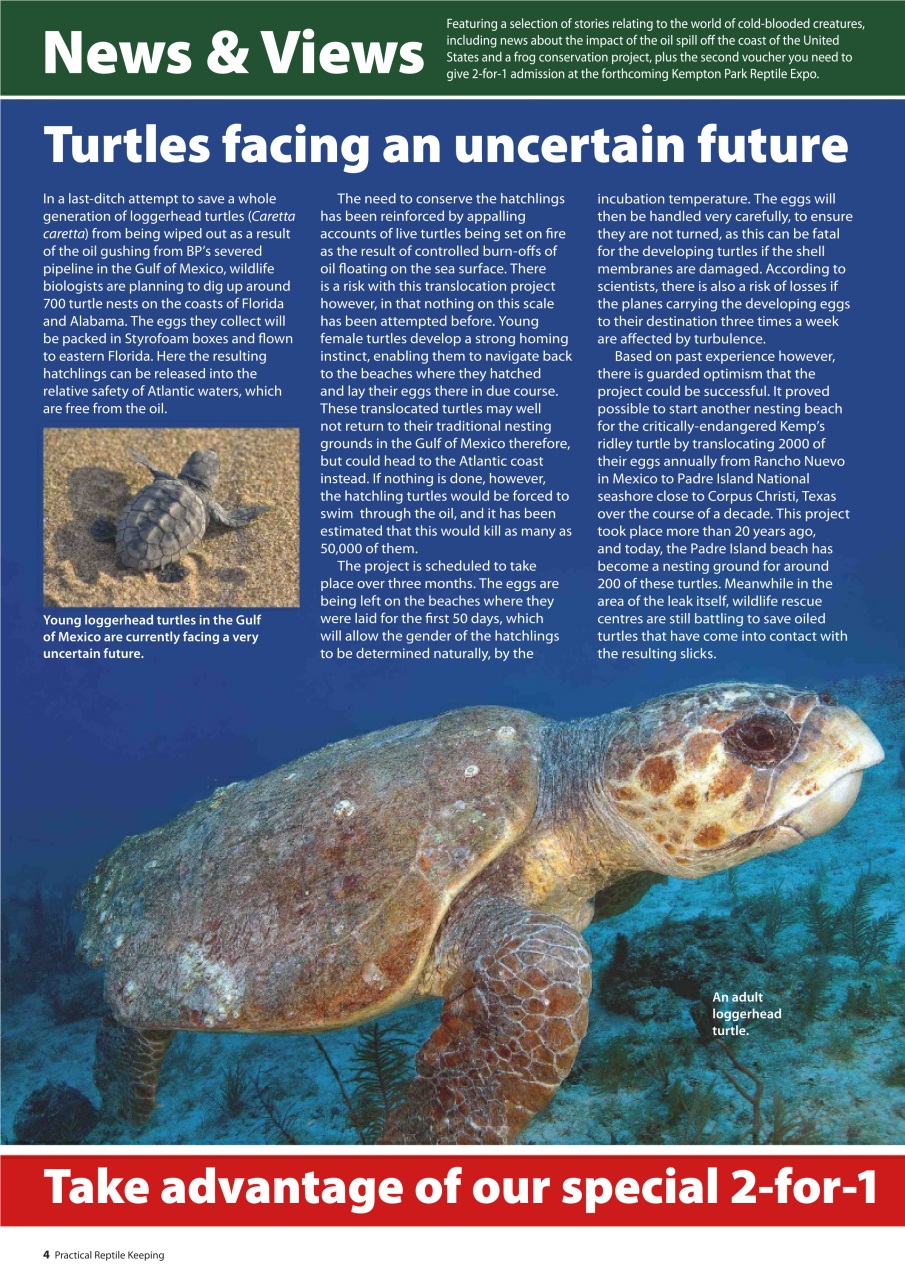 Practical Reptile Keeping Preview Pages