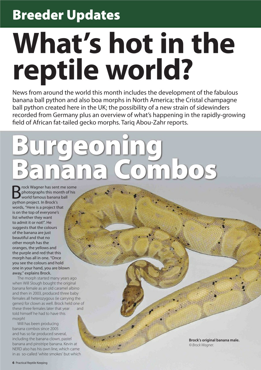 Practical Reptile Keeping Preview Pages