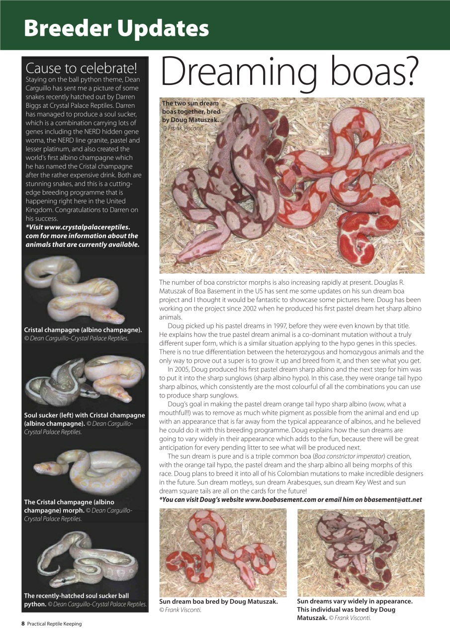 Practical Reptile Keeping Preview Pages
