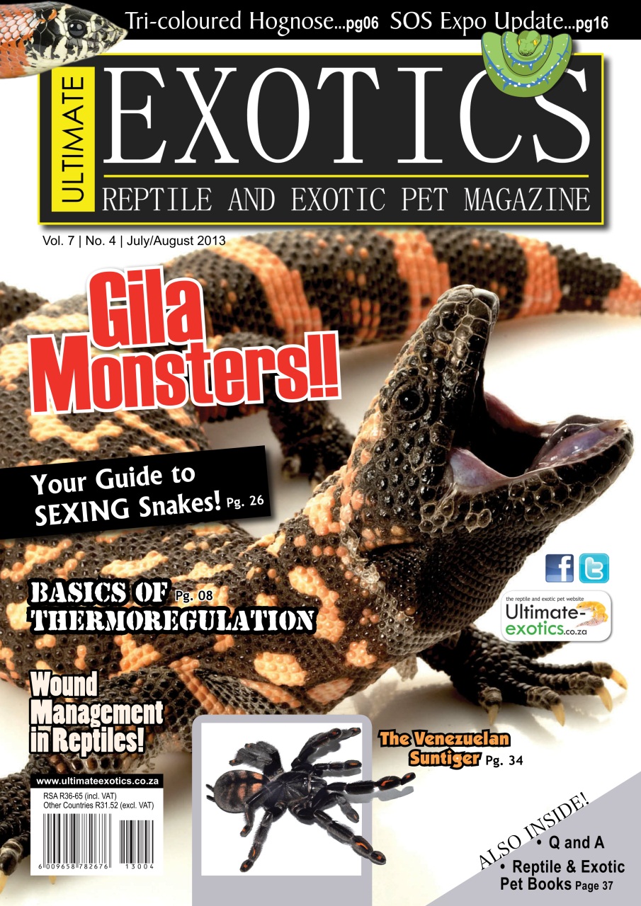 Ultimate Exotics Preview Pages