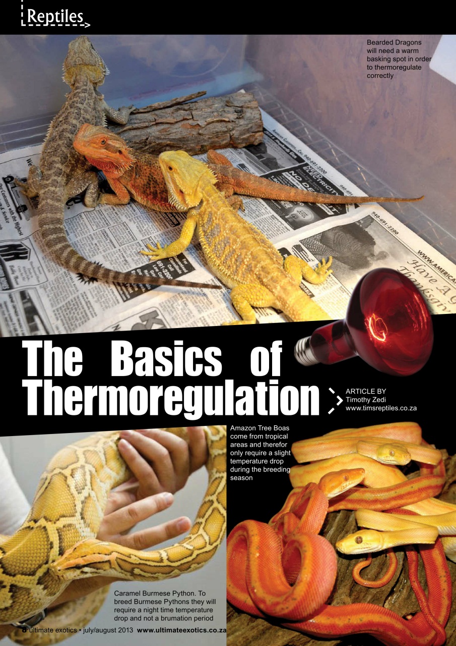 Ultimate Exotics Preview Pages