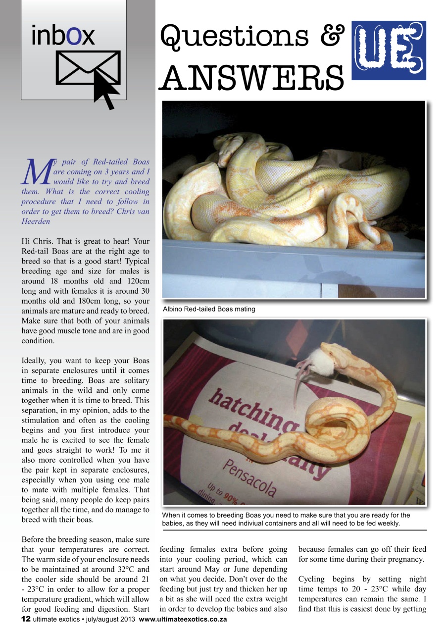 Ultimate Exotics Preview Pages