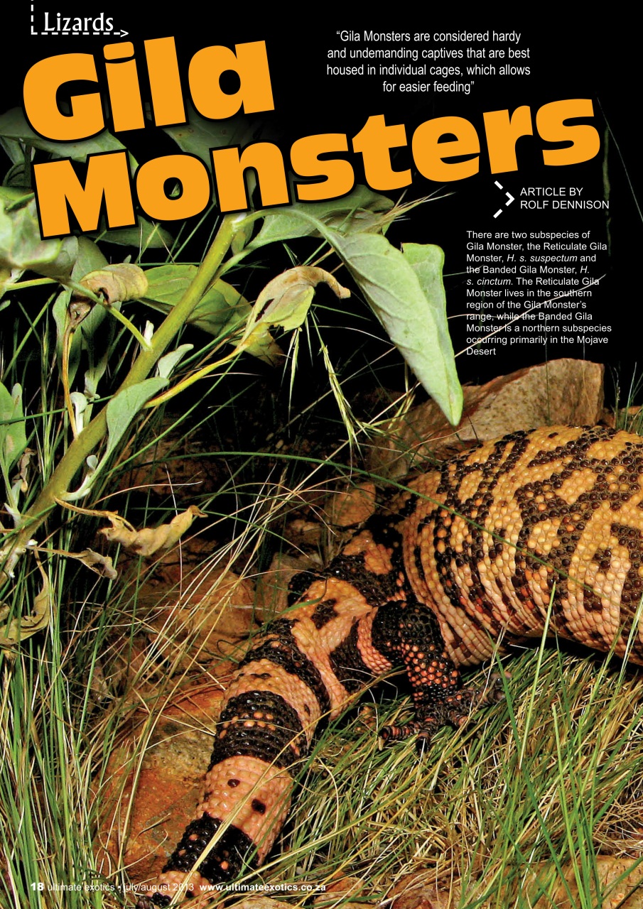 Ultimate Exotics Preview Pages