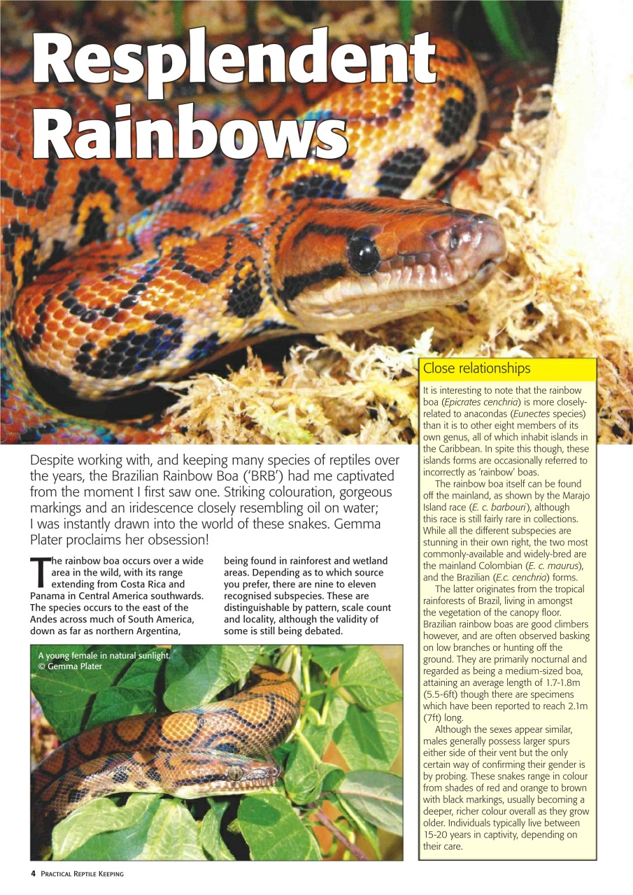Practical Reptile Keeping Preview Pages
