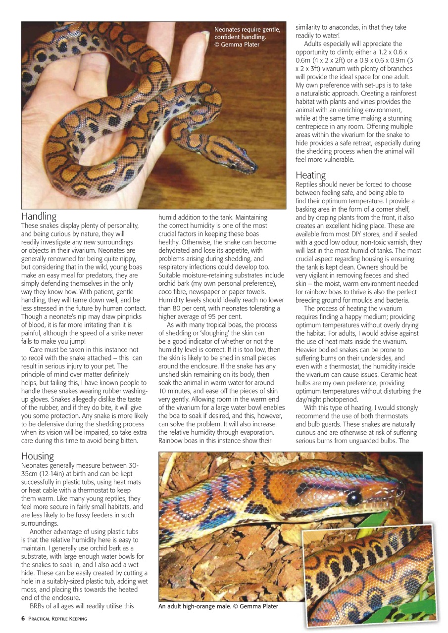 Practical Reptile Keeping Preview Pages