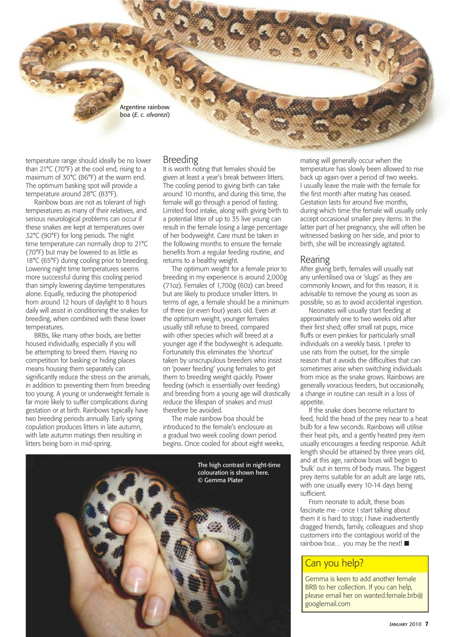 Practical Reptile Keeping Preview Pages