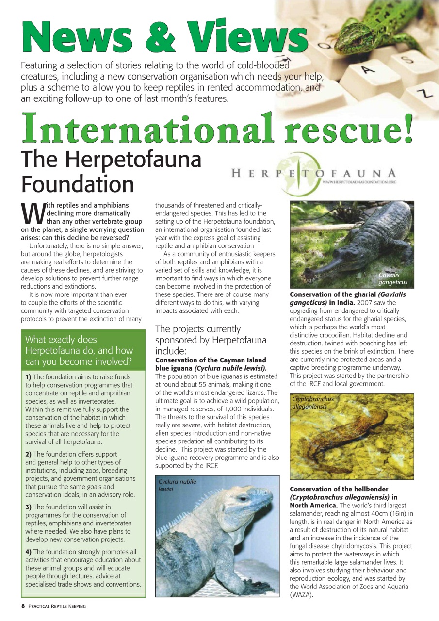 Practical Reptile Keeping Preview Pages