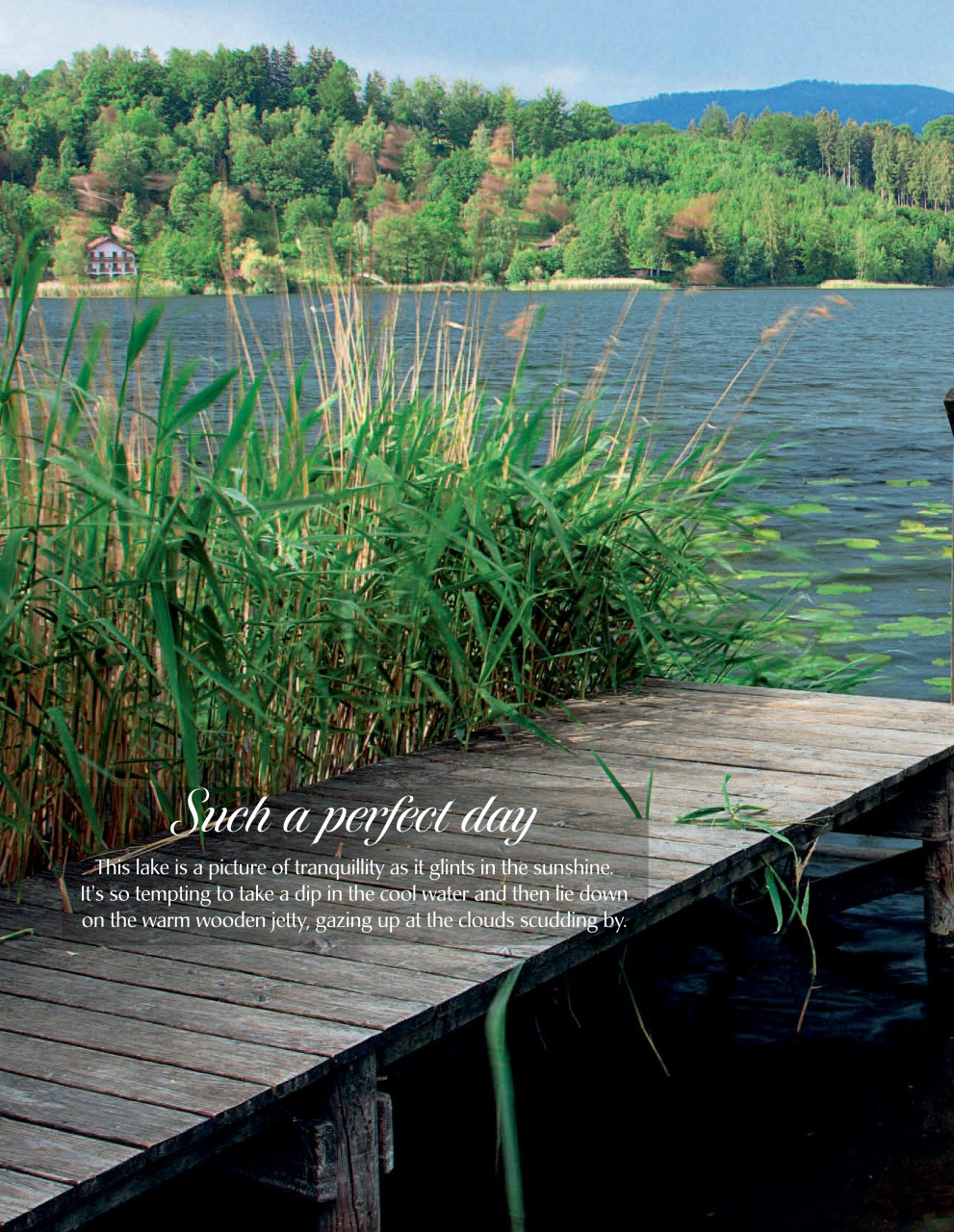 LandLove Magazine Preview Pages