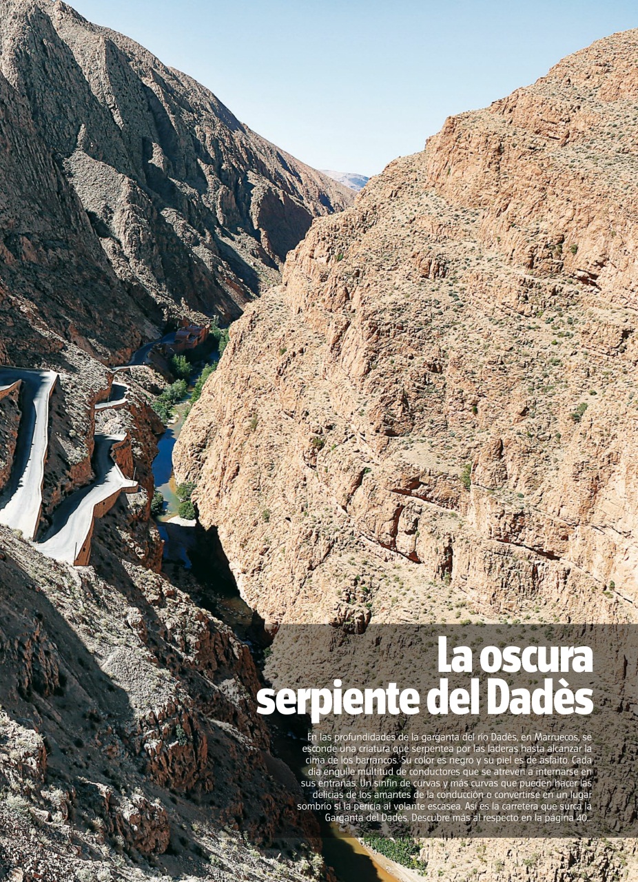 Auto Bild Preview Pages