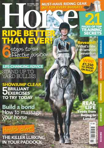 Horse issue October 2012