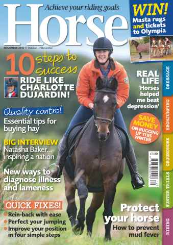 Horse issue November 2012