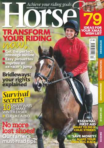 Horse issue December 2012