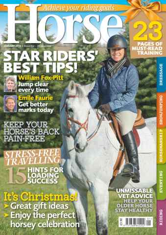Horse issue January 2013