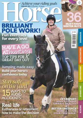 Horse issue February 2013