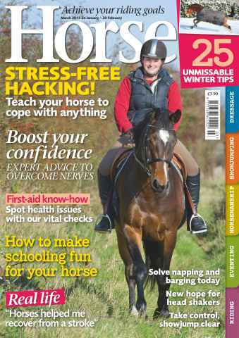 Horse issue March 2013