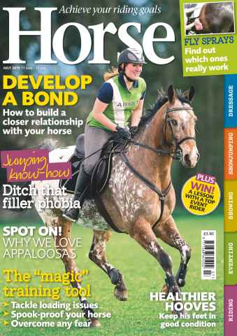 Horse issue July 2013