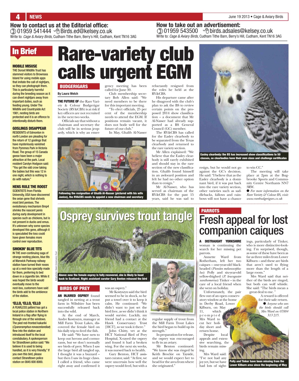 Cage & Aviary Birds Preview Pages