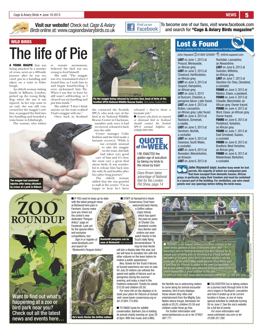 Cage & Aviary Birds Preview Pages