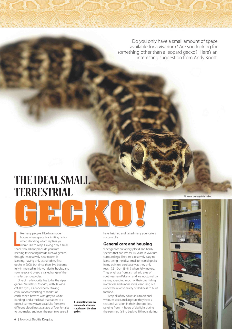 Practical Reptile Keeping Preview Pages