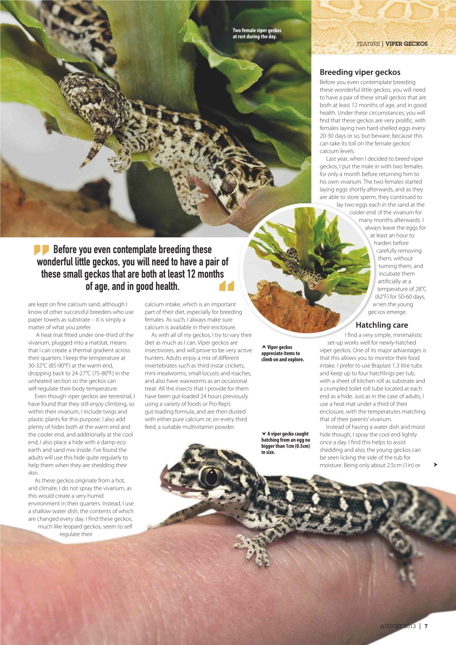Practical Reptile Keeping Preview Pages