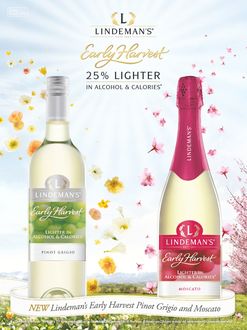 Prevention Preview Pages