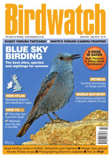 Birdwatch Magazine issue 