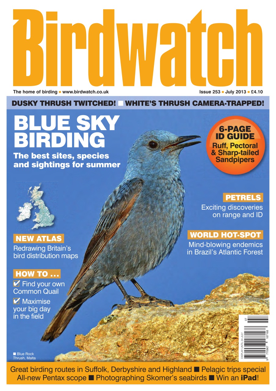 Birdwatch Magazine Preview Pages