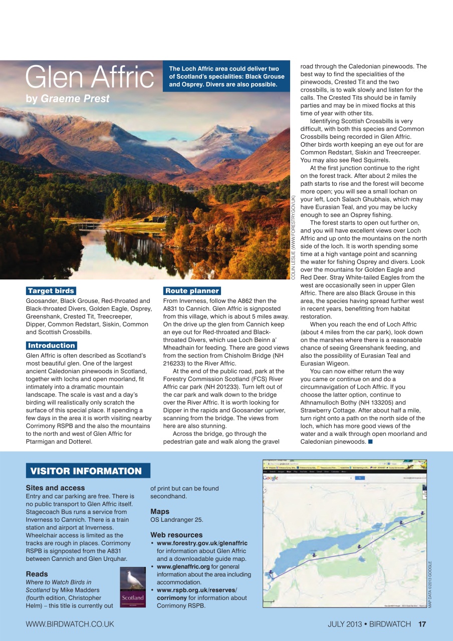 Birdwatch Magazine Preview Pages