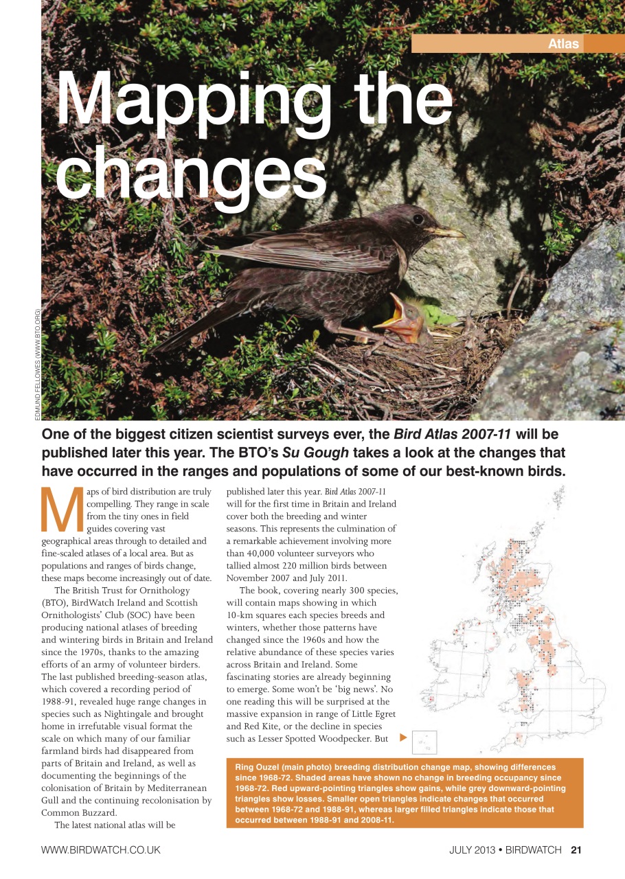 Birdwatch Magazine Preview Pages