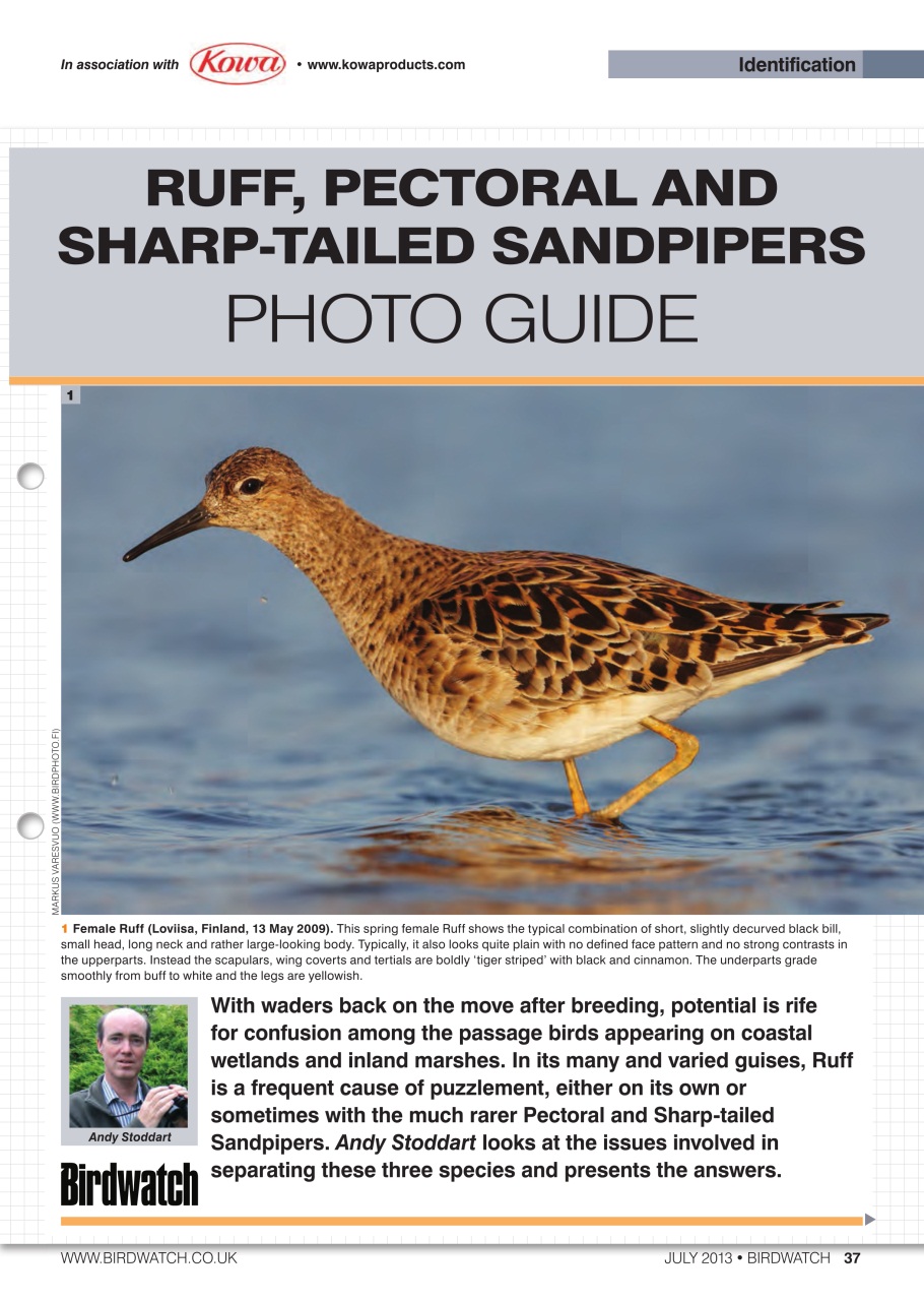 Birdwatch Magazine Preview Pages