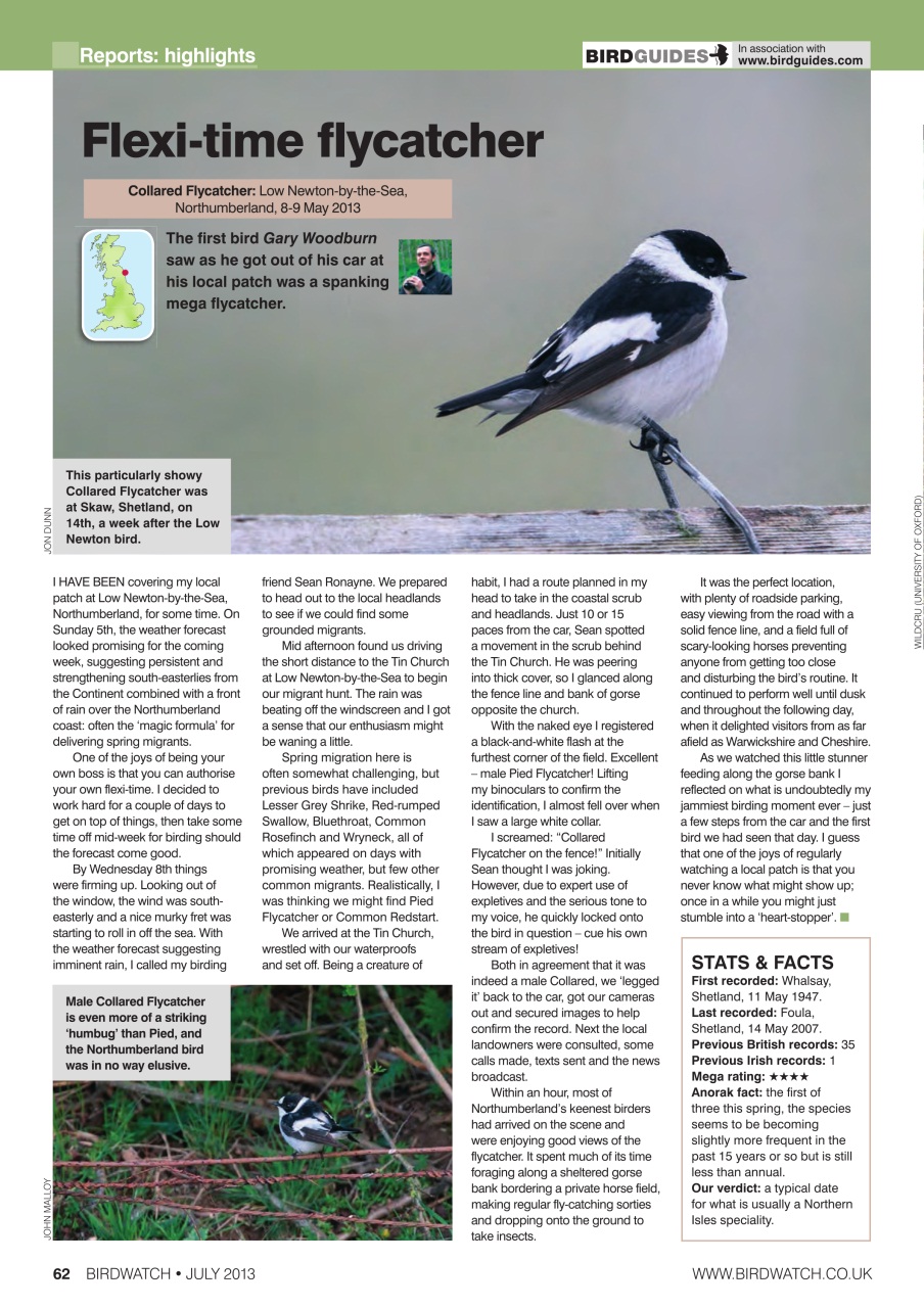 Birdwatch Magazine Preview Pages