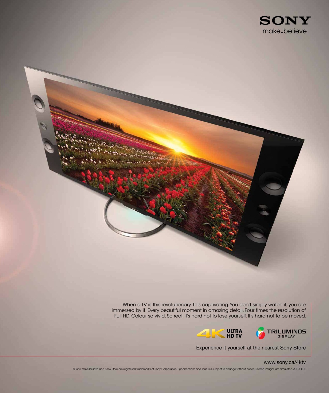 Avenue Calgary Preview Pages