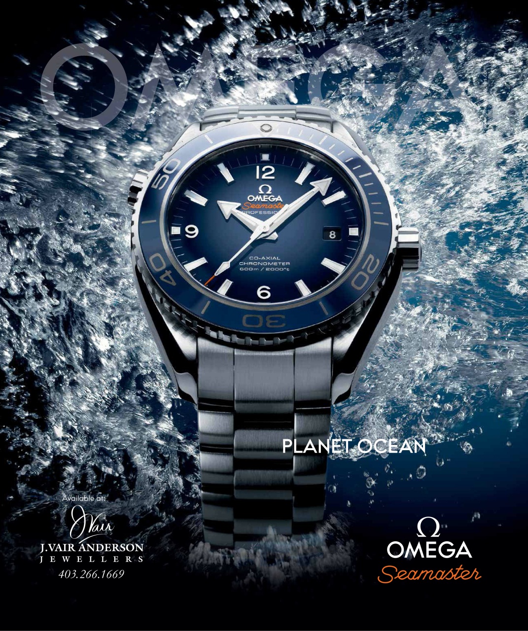 Avenue Calgary Preview Pages