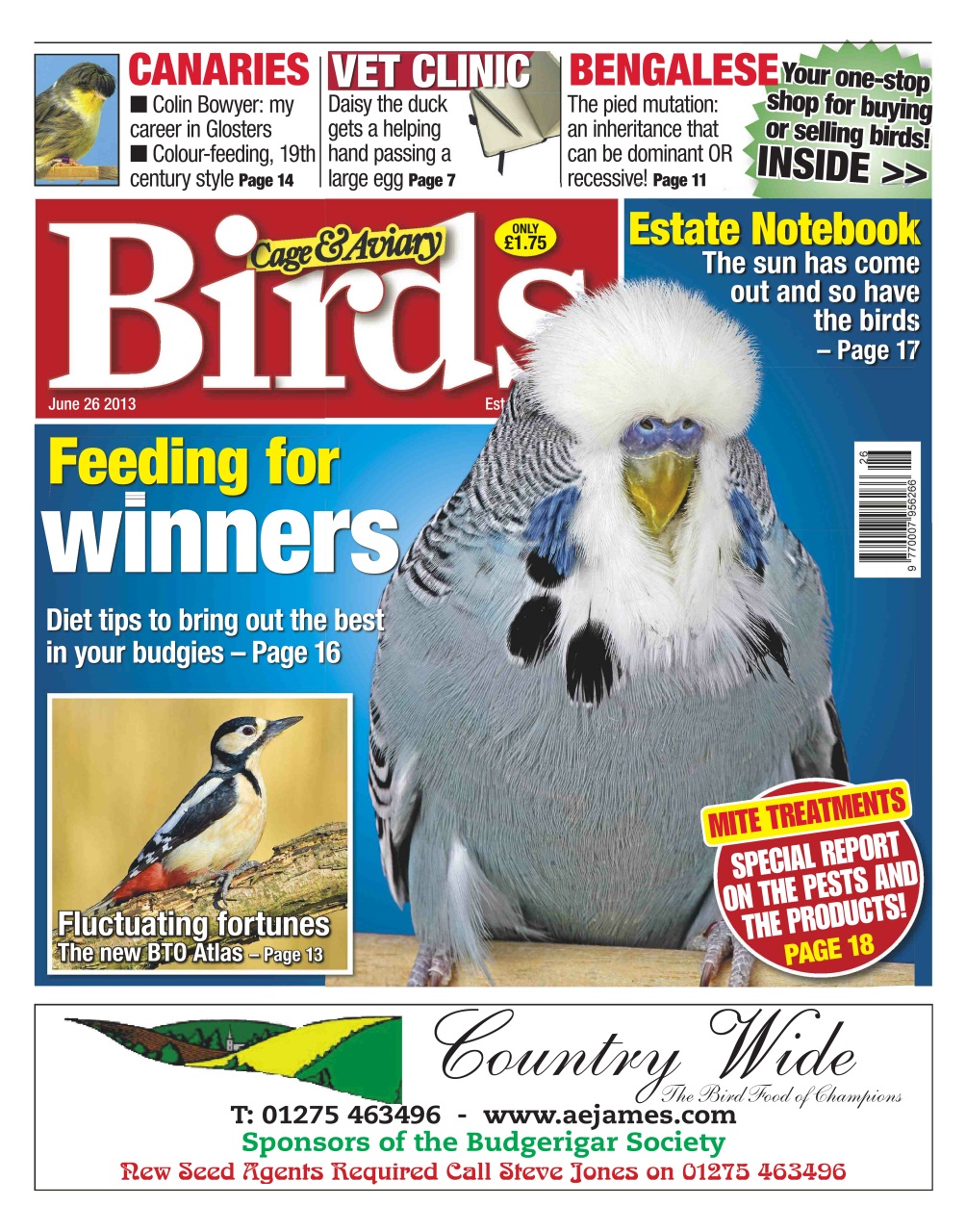 Cage & Aviary Birds Preview Pages