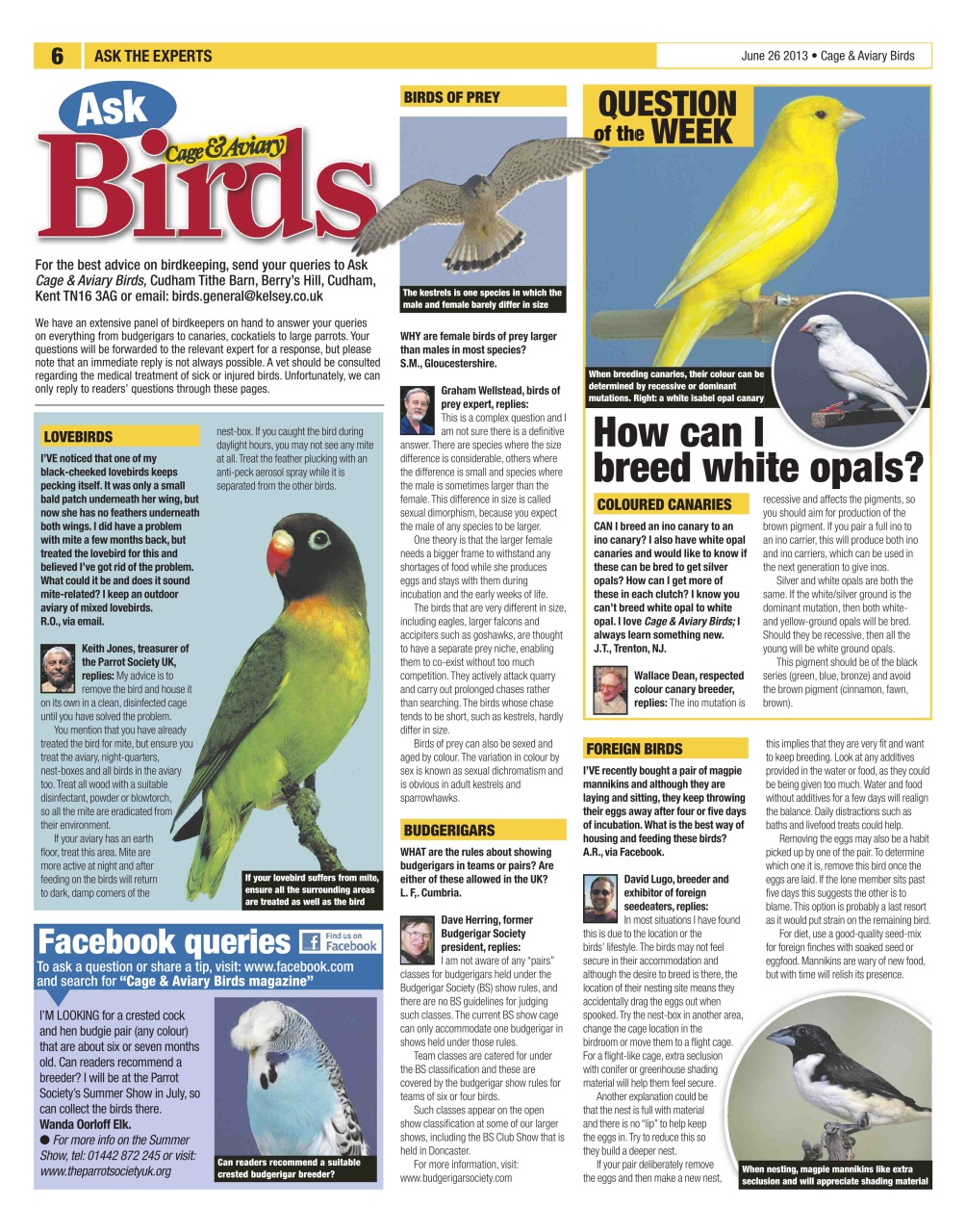 Cage & Aviary Birds Preview Pages