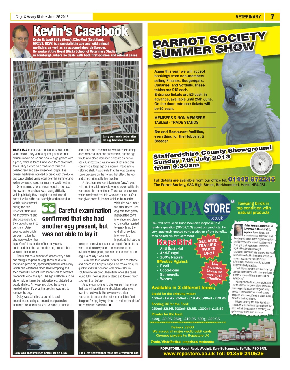 Cage & Aviary Birds Preview Pages