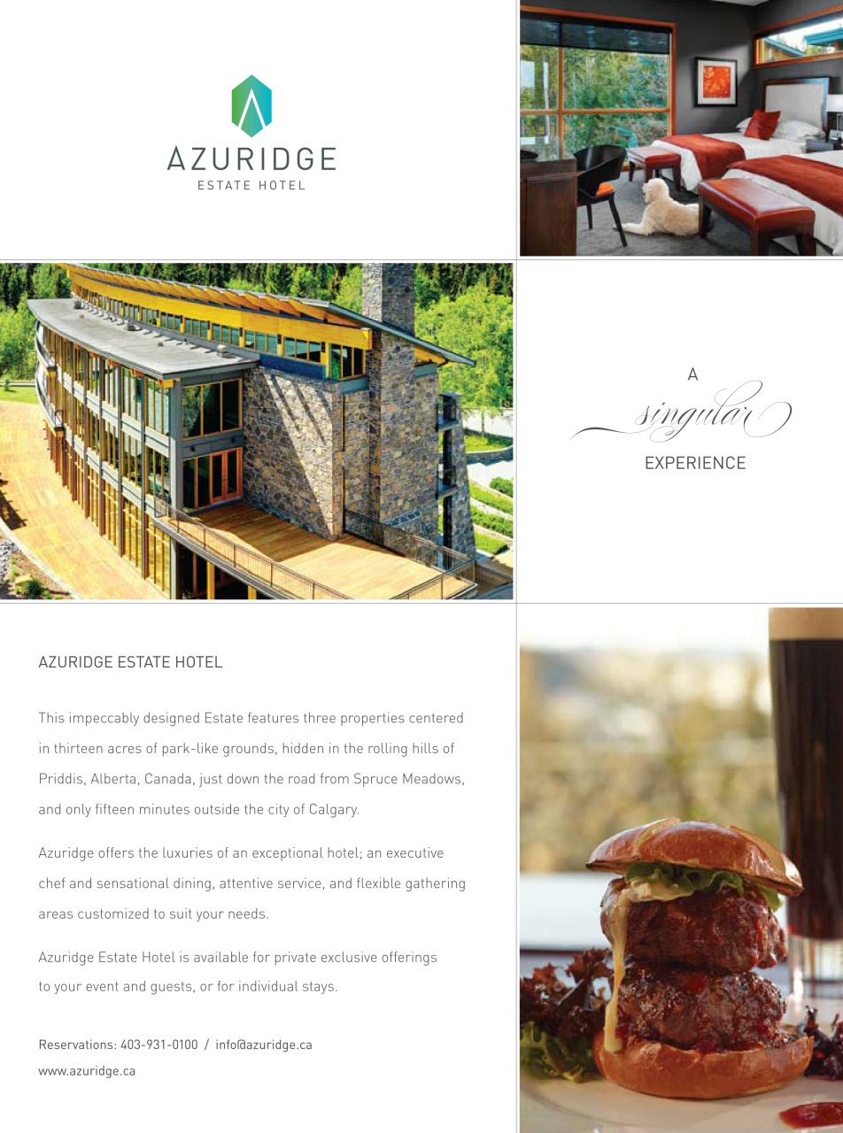 Western Horse Review Preview Pages