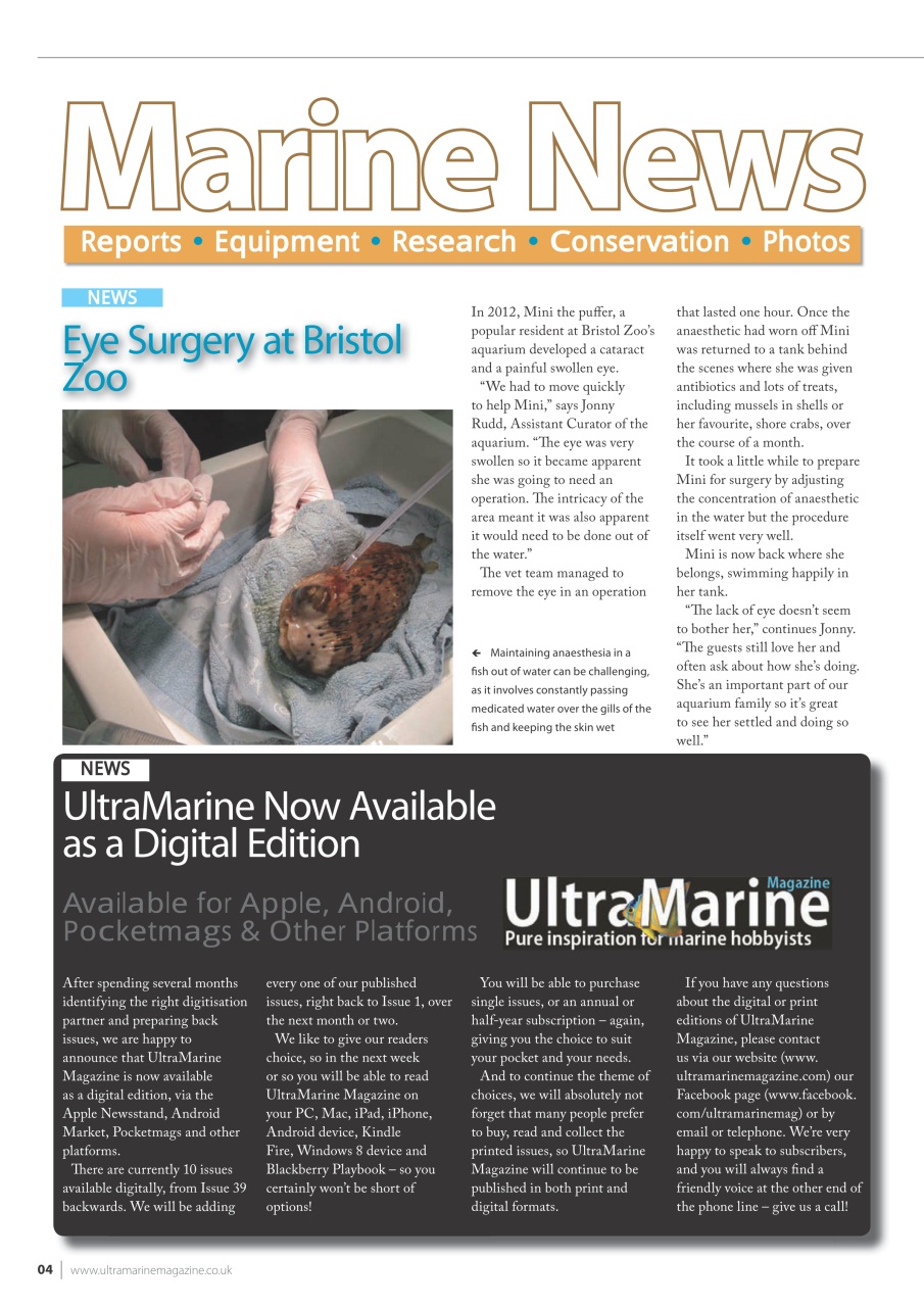 UltraMarine Magazine Preview Pages