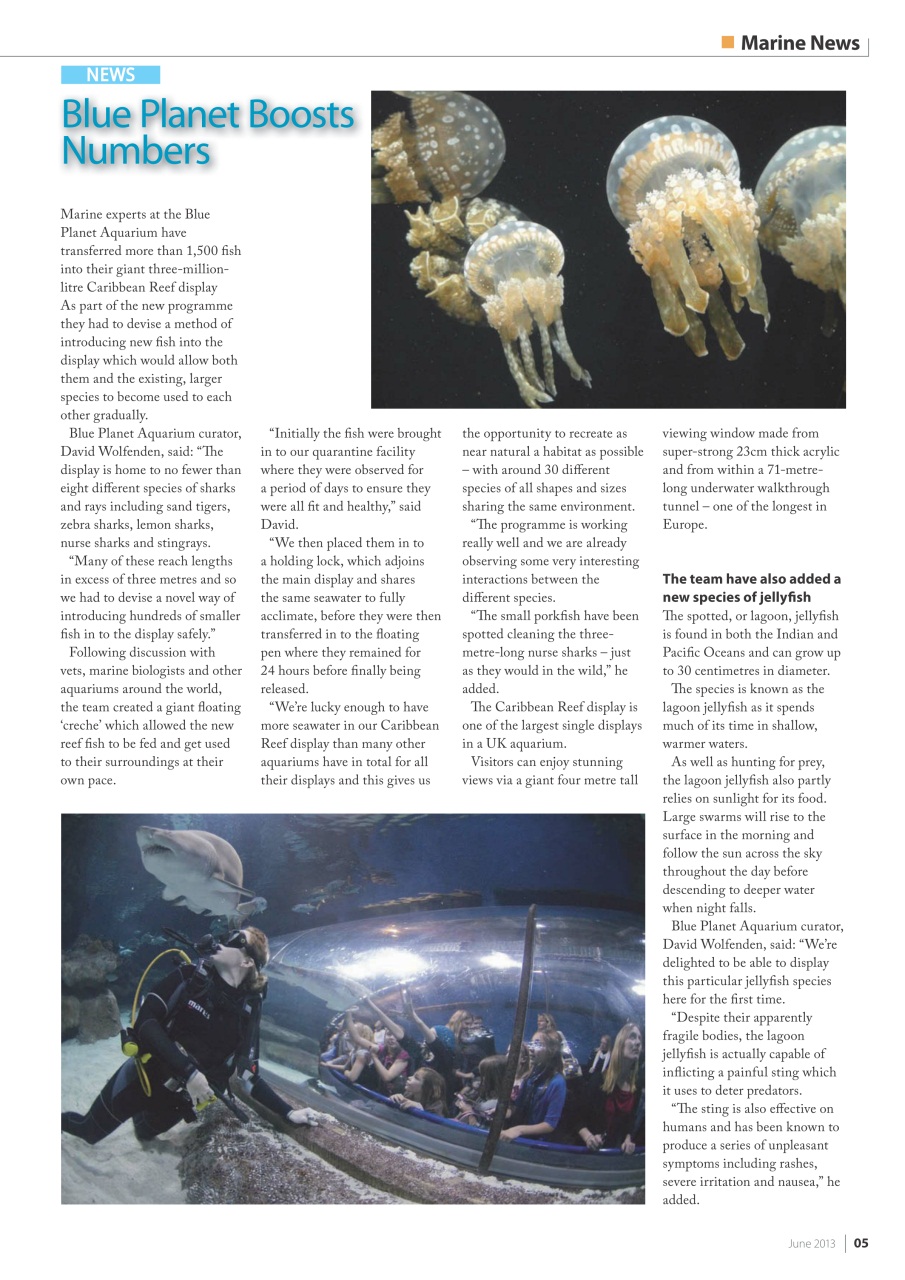 UltraMarine Magazine Preview Pages
