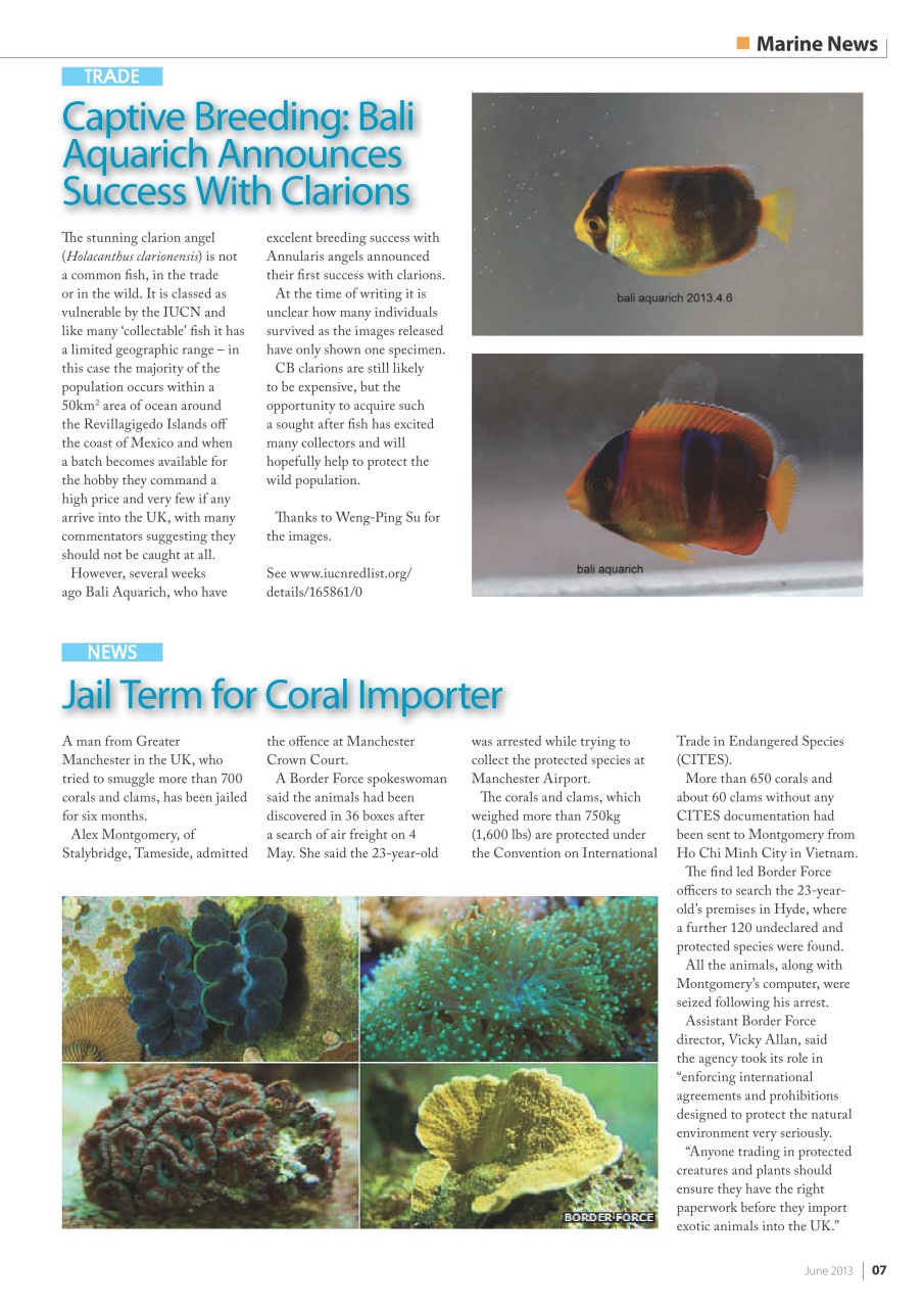 UltraMarine Magazine Preview Pages