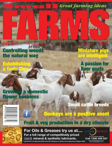 Small Farms issue July 2013
