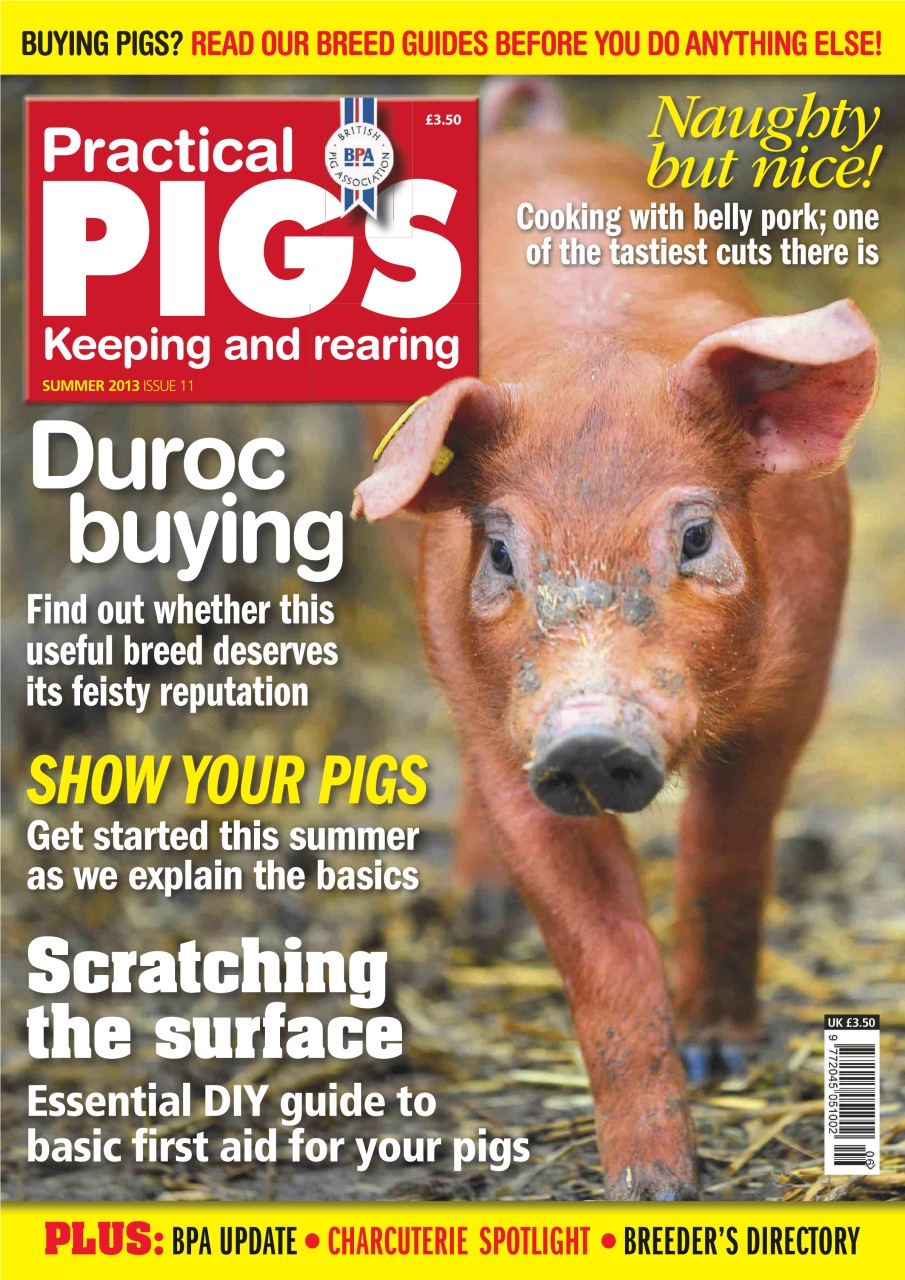 Practical Pigs Preview Pages