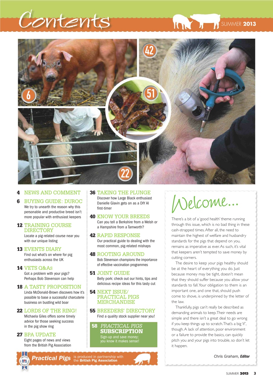 Practical Pigs Preview Pages