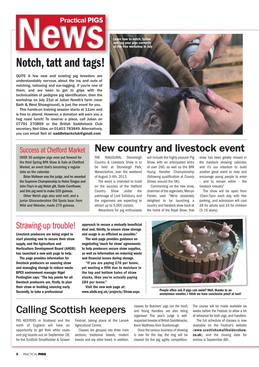 Practical Pigs Preview Pages