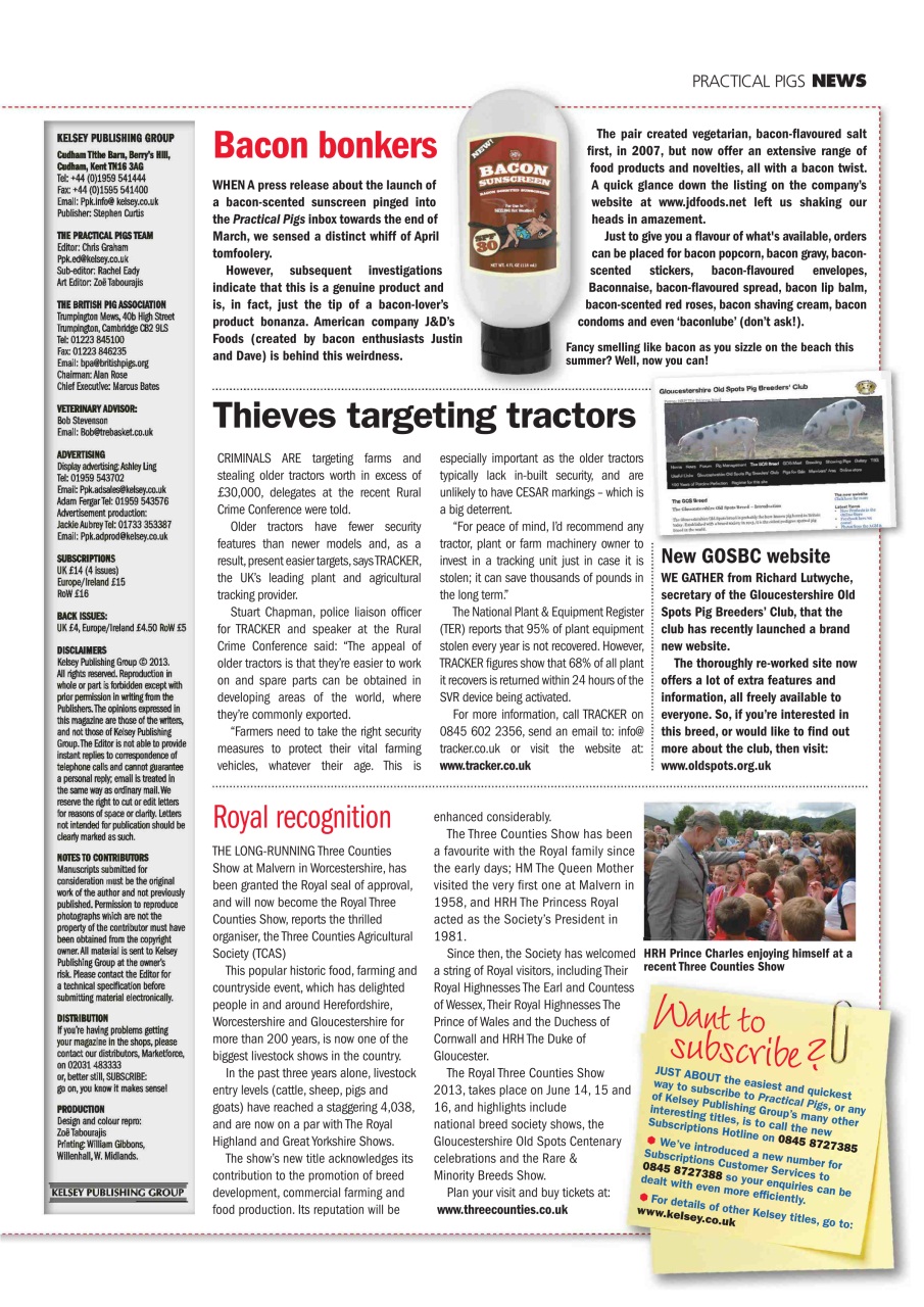 Practical Pigs Preview Pages