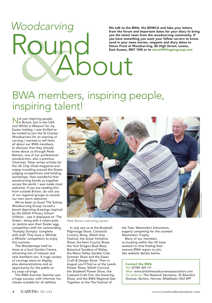 Woodcarving Preview Pages