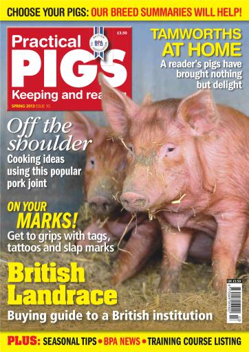 Practical Pigs issue 