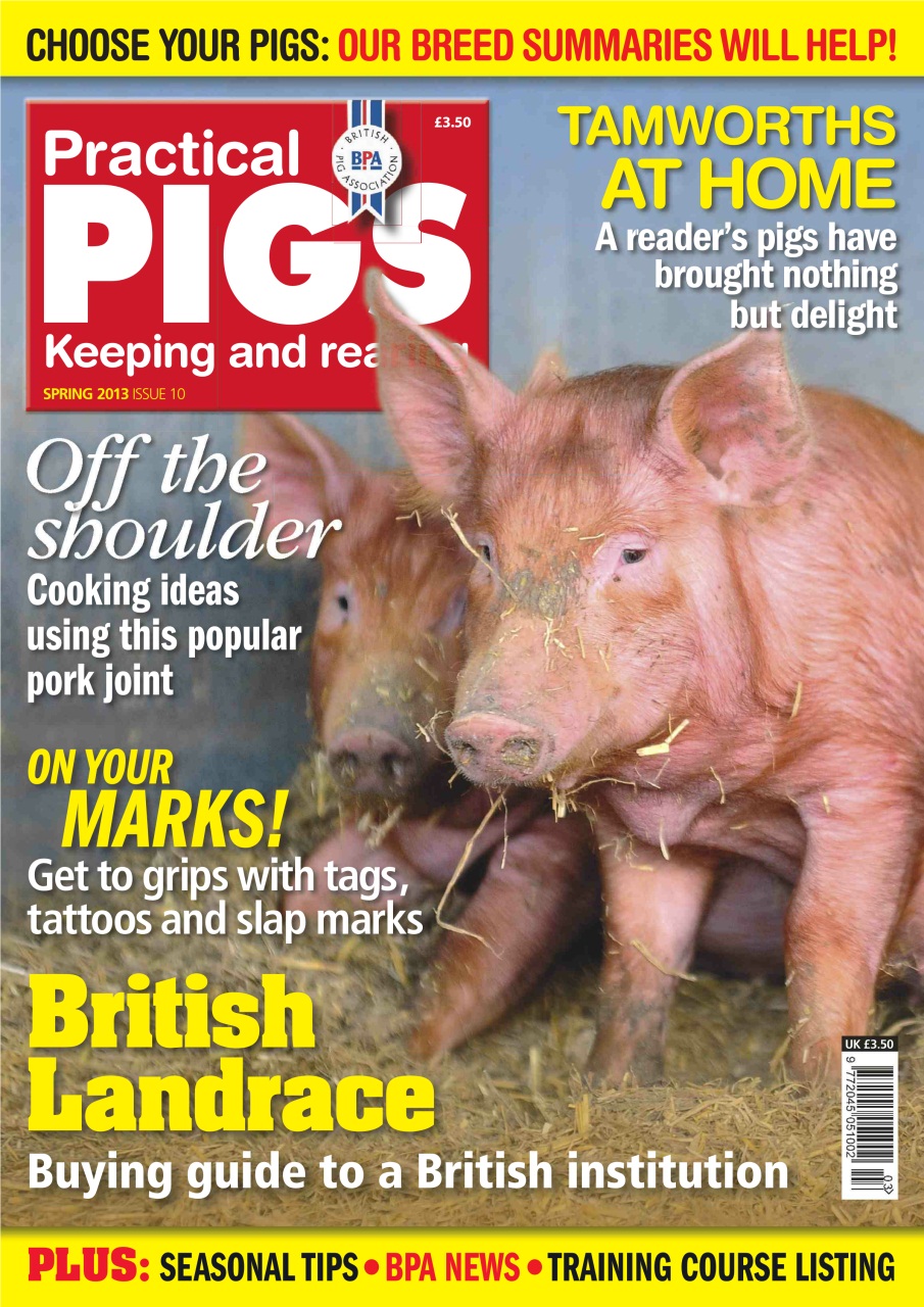 Practical Pigs Preview Pages