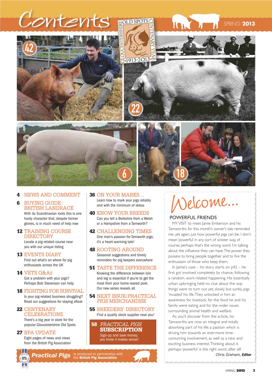 Practical Pigs Preview Pages