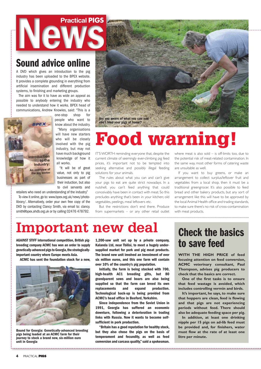 Practical Pigs Preview Pages